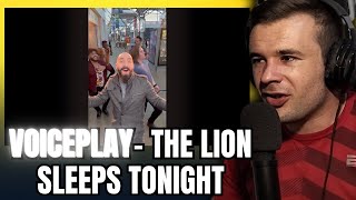 VoicePlay ft J.None - The Lion Sleeps Tonight (Reaction)