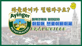 죽기전에 꼭 마셔봐야할 밀맥주 - 아잉거 브로이바이쎄 // The beer that you must try before you die, Ayinger Bräuweisse