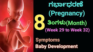 8th month pregnancy in kannada  |8th month baby development & movement(Week 29- 32 )