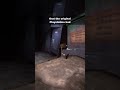 Creating Playstation Graphics