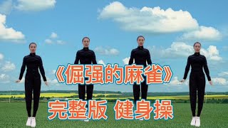 完整版健身操《倔强的麻雀》舒展全身，简单易学