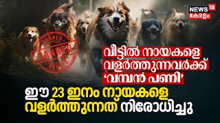 വീട്ടിൽ Pet Dogsനെ വളർത്തുന്നവർക്ക് ‘വമ്പൻ പണി’, ഈ 23 ഇനം Dogsനെ വളർത്തുന്നത് Banned in India | N18V