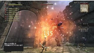 【DDON】ハンターで古代神殿の死闘(青職なし)