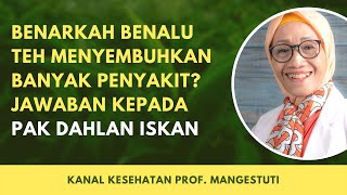 Benarkah Benalu Teh Bisa Menyembuhkan Banyak Benyakit? Jawaban Saya Kepada Pak Dahlan Iskan