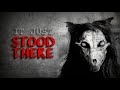 ৫ টি রহস্যময় ওয়েবসাইট 5 mysterious websites_mysterious_scarey_suspense_horror_mystery_in bengali