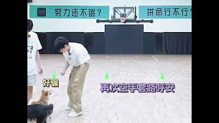 【TNT时代少年团 张真源】我们呼安就是最可爱的狗狗！ [Zhang Zhenyuan]