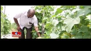 Nela Talli | Khammam Farmer Ravi Strategy in Cultivation of Yellow Cucumber, Spine Gourd Vegetables