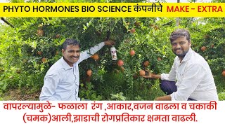 डाळिंब पिकामध्ये कलर, साईज,चमक यासाठी वापरा तुम्ही MAKE- EXTRA@phyto-hormonesbioscience 💯