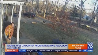 Video shows raccoon attacking girl on her front porch