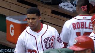 Austin Hedges Flies into the Nationals Dugout, a breakdown.