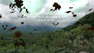 பர்கூர் மலையில் நல்ல ஒரு பயணம் I A TRAVEL TO BURGUR WITH WONDERFULL NATURE VIEW