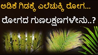 ಅಡಿಕೆ ಗಿಡಕ್ಕೆ ಎಲೆಚುಕ್ಕಿ ರೋಗ | ರೋಗವನ್ನು ಗುರುತಿಸುವುದು ಹೇಗೆ |  ರೋಗ ಲಕ್ಷಣಗಳೇನು | Leaf Spot Disease