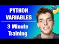 Python Variables | Three Minute Python Training | S1E1