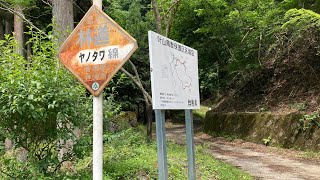 原付で行く〜林道　ヤノタワ線〜