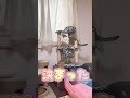 【面白い猫😻りきちゃん💖】猫好き必見💖❤️りきちゃん😻そらちゃん🐱同時○○○🙀㊗️㊗️㊗️🐈🐱⁉️ ねこ ねこのいる生活