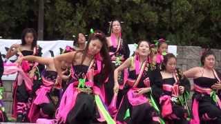 大江戸ソーラン'13 dance company REIKA組