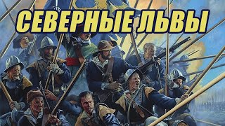 Шведская армия тридцатилетней войны: Чем армия Густава Адольфа отличалась от всех остальных