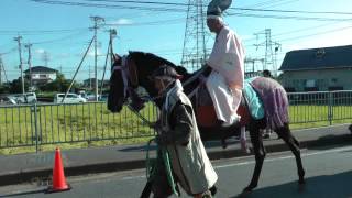 鹿島神宮 式年大祭御船祭2014　御着船祭　茨城県鹿嶋市 00060