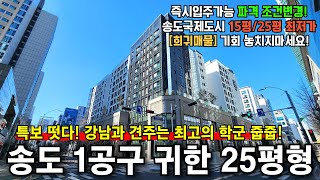 송도 하늘채 아이비원 신축25평 송도국제도시 1공구 최저가 미분양아파트 줍줍 실세대 영상