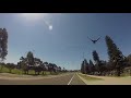 magpie attacks cyclist in australia 😱😱😱