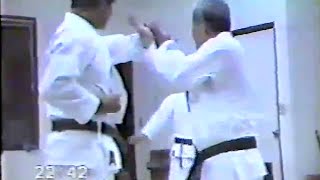 Kishaba Dojo Training 2