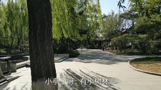 小伙无意中来到中老年相亲公园，就在天安门旁边，顺便转一转