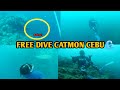 Free Diving  in CATMON CEBU - Best free dive spot in Northern part of Cebu