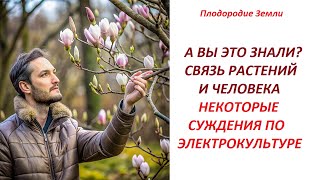 Ваши растения знают вас на вкус, запах и голос/ мысли по электрокультуре №714/25