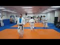 arieh cohen gadi kenpo jitsu kyokushin raanana 2018