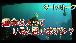 運命の人っていると思いますか？【タートルトーク】東京ディズニーシー