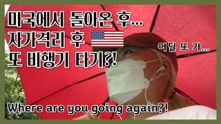 [브릿로그_한국 도착]WORLD TRAVELER/자가격리 했는데 또 비행기를 타?!(ENG,KOR)