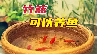 都说竹篮打水一场空，但有位高人却做出滴水不漏的#竹篮 | #玄策视界