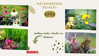 Metamorfoza działki 2022 #działka #początkujący #słońce