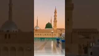 madina naat #shorts #youtubeshorts #ytshorts