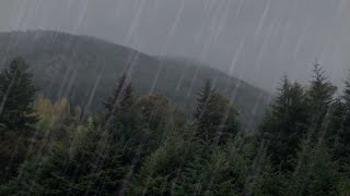 Rainy Day in Forest 10hrs. Peaceful RAIN sounds for relaxation and Sleep | Rain Showers in Forest