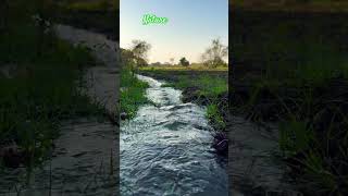 Nature at its best! #naturalsounds #natureshorts #peace #like #share #subscribe #water #nature #love