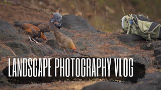 Exploring Kauai and Seascape Photography Tips / Landscape Photography Vlog