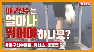 [Baseball training] 무작정 오래 뛰는건 반대일세_유산소 Aerobic training⚾️