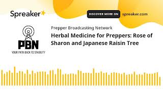 Herbal Medicine for Preppers: Rose of Sharon and Japanese Raisin Tree