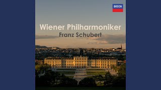 Schubert: Rosamunde, D.797 (Incidental music to Helmina von Chézy's Play) : Entr'acte No. 1