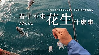 2021/12/29 【近海底棲】春子不來，花生什麼事 - 坡頭漁港聯合號‧花身雞魚