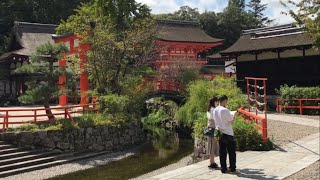 21年10月6日 散策日和の京都を歩く 下鴨神社,糺の森,鴨川デルタ,河原町今出川,枡形商店街 Walk around Kyoto city,Japan vlog