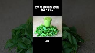 면역력 강화에 도움되는 음식 10가지