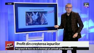 Idei de afaceri în zootehnie. Banii în mișcare, Digi24