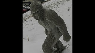 20210216 Snowsas 2 cam