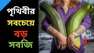 😮পৃথিবীর সবচেয়ে বড়ো সবজি ‌‌‍‍| দৈত্যাকার সবজি | Giant Vegetables in Alaska | #shorts