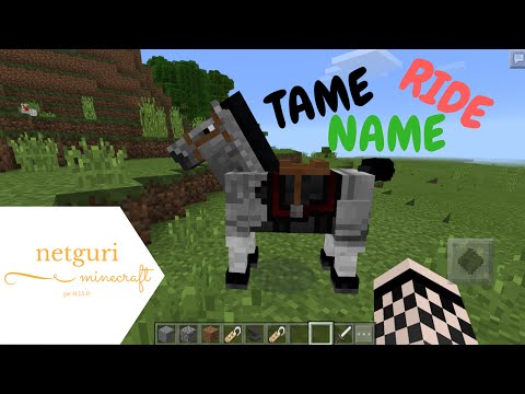 TAME, RIDE, AND NAME HORSES IN MINECRAFT PE 0.15.0!!! TAME, RIDE, AND NAME HORSES IN MINECRAFT PE 0.15.0!!!