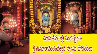 🙏🌹🙏 మాస శివరాత్రి సందర్భంగా శ్రీ ఉమారామలింగేశ్వర స్వామి  హారతులు🙏🌹🙏