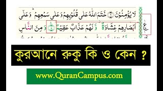 What is Ruku in the Quran and Why ?