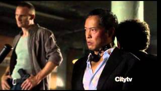 Person of Interest - Dog scene